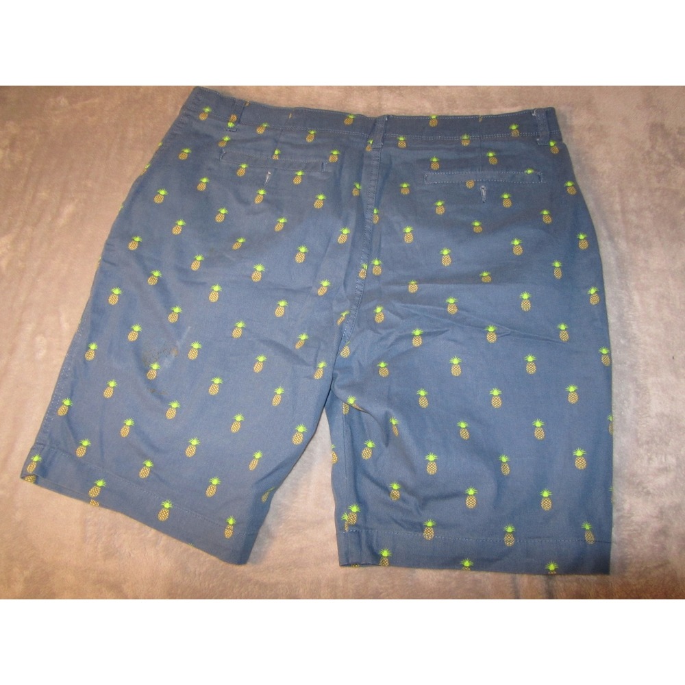 Plugg Flex Mens Blue Pineapple Print Chino Shorts Size 38 Tropical Summer Casual - Picture 2 of 7